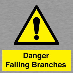 Danger Falling Branches